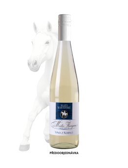SVATOMARTINSKÉ VÍNO  Müller Thurgau 2026